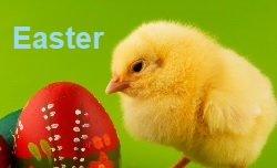 Easter Chick_Easter