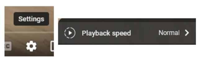 Music library speed adjustment